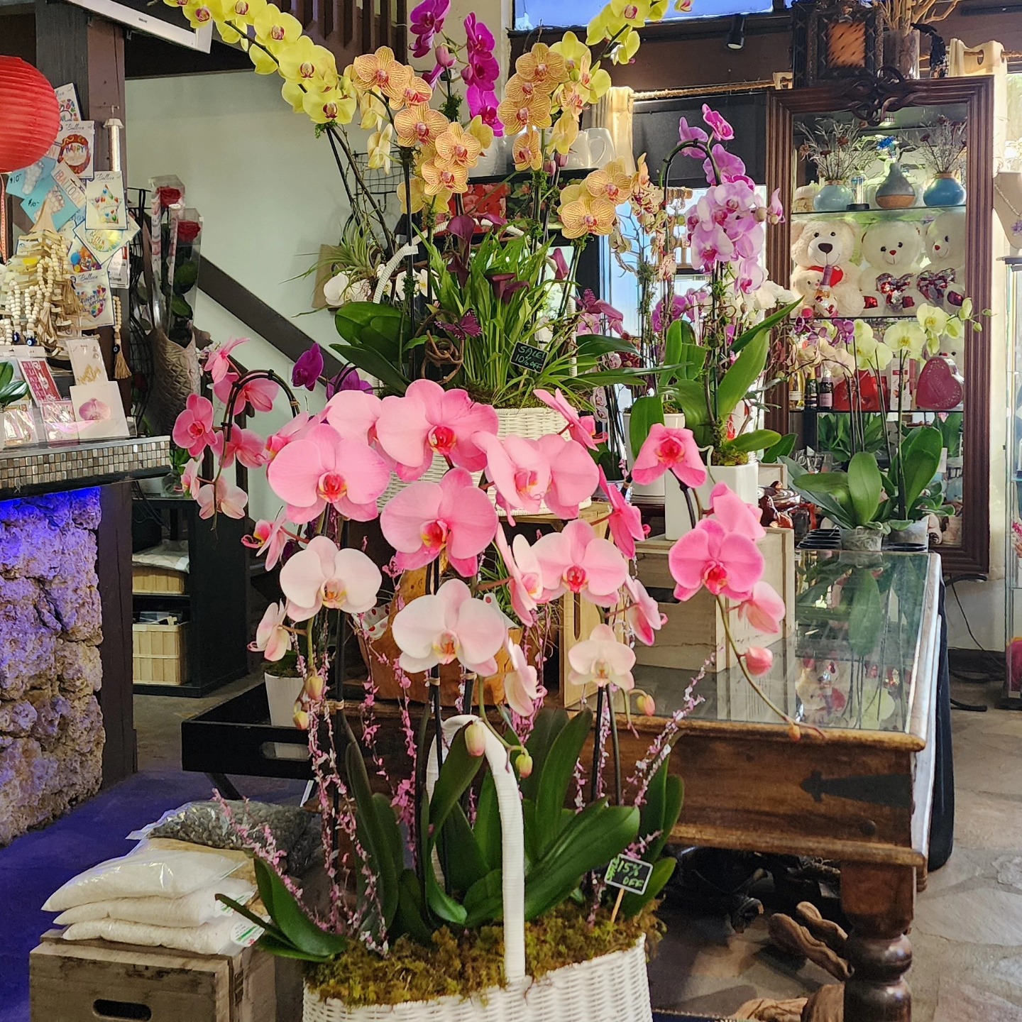Elegant Orchid Arrangements for Corporate Events and Offices