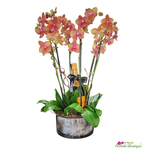 Why Elegant Orchid Arrangements Are the Perfect Choice for Luxury Interiors
