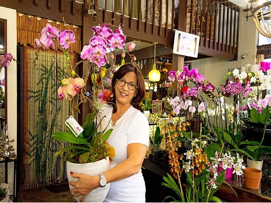 Best Elegant & Exotic Orchid Arrangements for Special Occasion in Miami