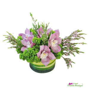 Orchid Arrangements: A Thoughtful and Personalized Gift for Mother's Day