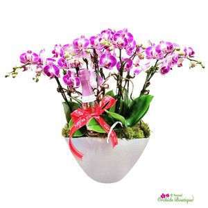 Luxury Gifting Redefined: Extra Large Orchid Arrangements for Special Occasions