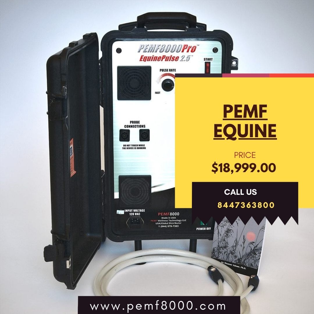 Talking About PEMF Therapy for Horses