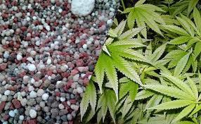 Guía completa sobre fertilizantes NPK para el campo