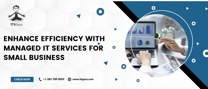 Enhance Efficiency with Managed IT Services for Small Business
