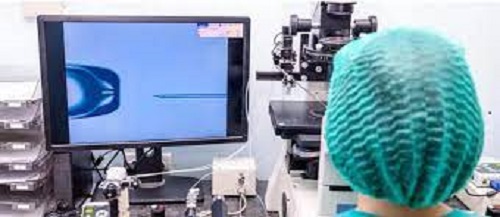 ‘The prospects and benefits of obtaining a Master's degree in Clinical Embryology.’  
