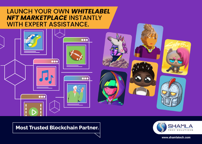 GET HIGHLY EFFICIENT WHITE LABEL NFT MARKETPLACE FROM EXPERTS