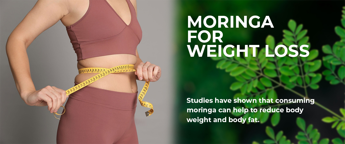 Control Your Cholesterol and Extra Fat with the Help of Moringa Powder