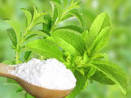 Stevia in India
