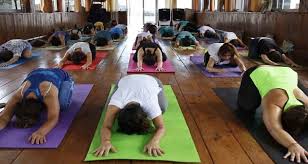 yoga teacher training india