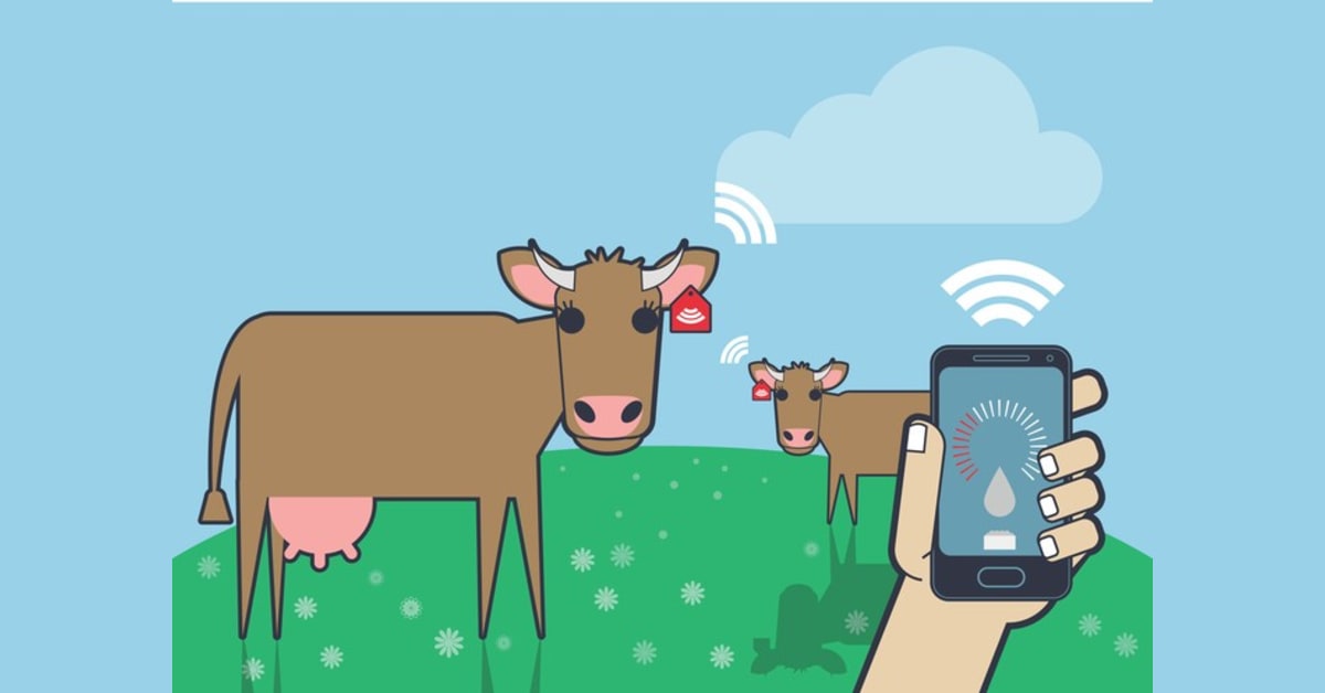 Livestock Monitoring Market Size, Share, Deployment, and Value Drivers Analysis Report, 2022-2030