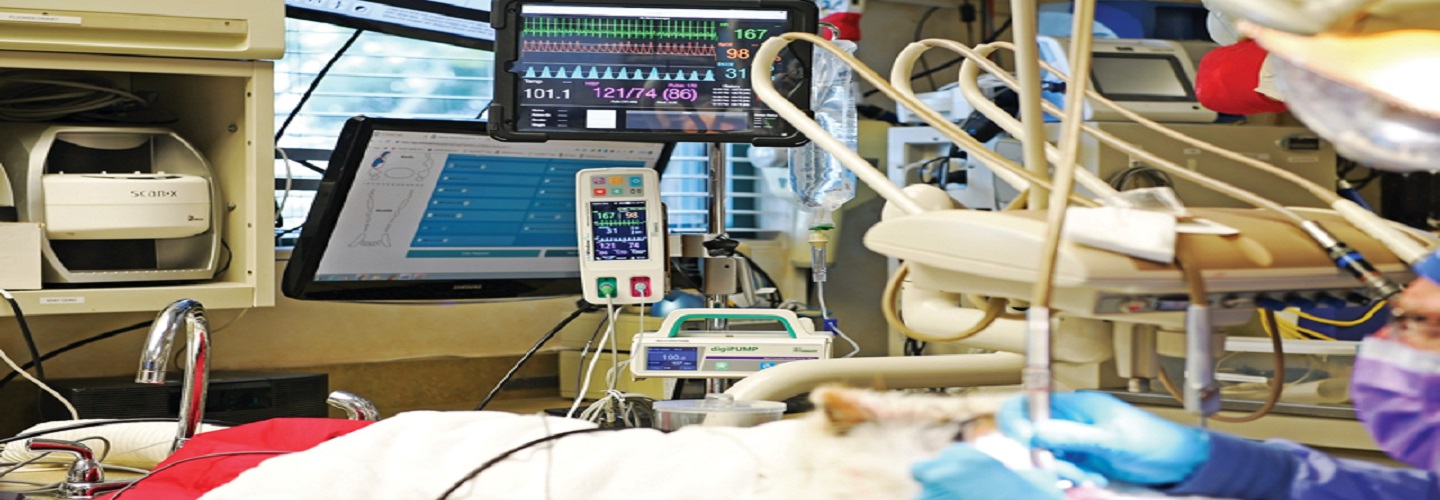Multiparameter Patient Monitoring Market Trends and Forecast Report 2022 | By Players, Types, Applications, and Regions
