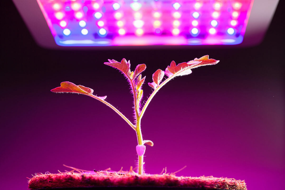 Grow Lights Market Development Analysis 2022 to 2030