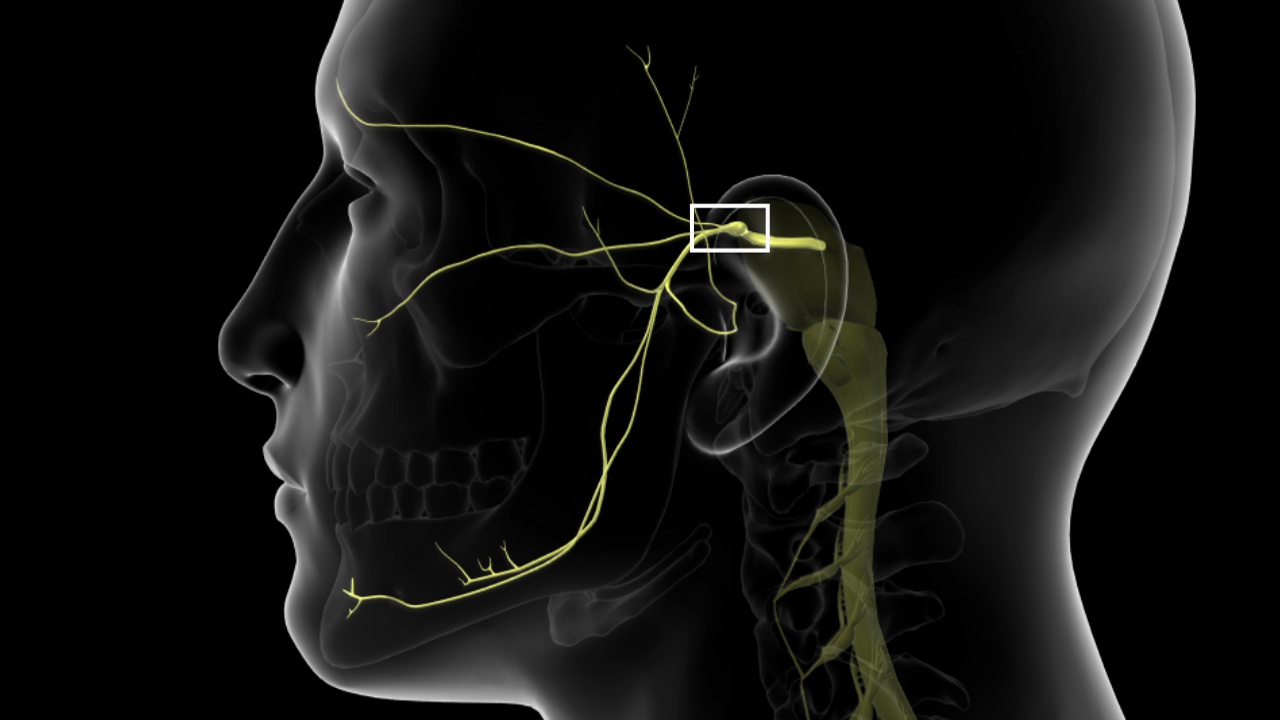 Neuralgia Treatment Market Is Booming So Rapidly During Assessment Period 2030