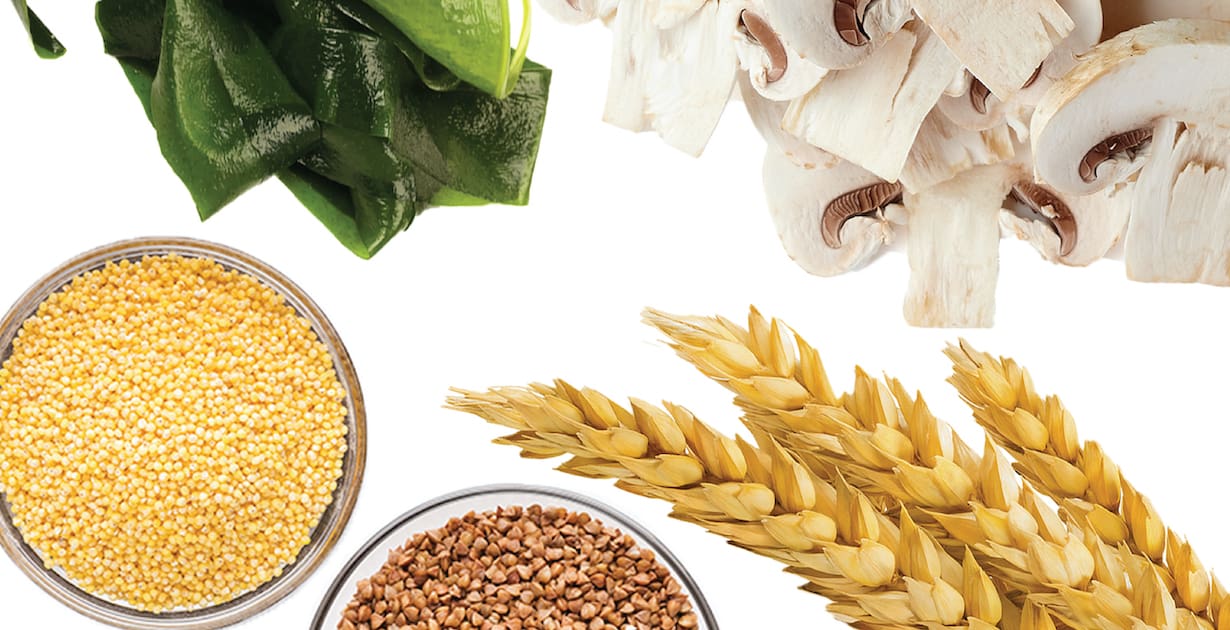 Beta-Glucan Market Revenue Predicted to Grow with Rapid Pace by 2030