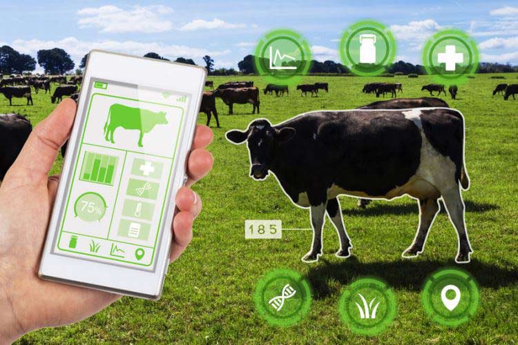 Livestock Monitoring Market Size, Share 2022 | Competitor Strategies & Analysis – 2030