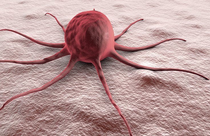 Cancer/Tumor Profiling Market Industry Overview with Size & Growth Share, Industry Dynamics, Top Trends, and Regional Analysis