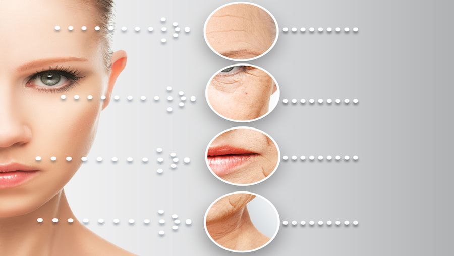 Anti-Aging Market Size Estimation Research Report, 2022-2030