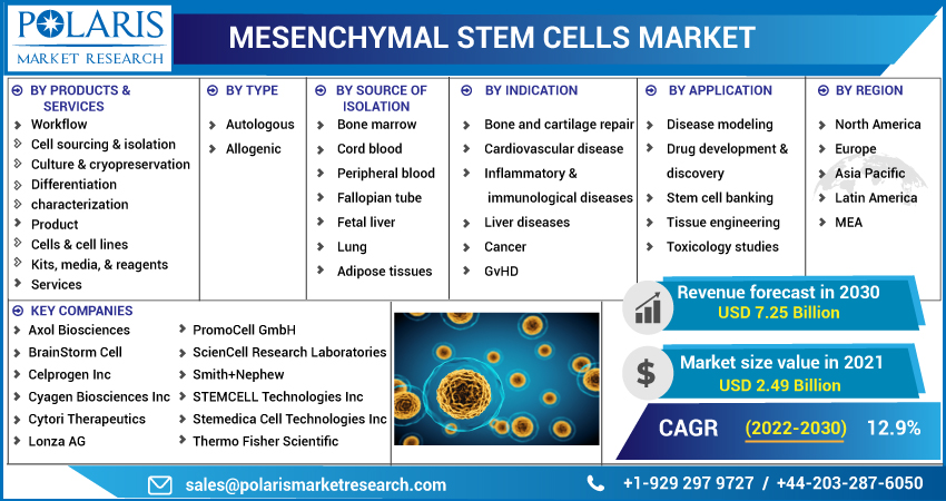 Mesenchymal Stem Cells Market Demands, Size, Trends, Opportunities, Past & Present Data, And Comprehensive Analysis