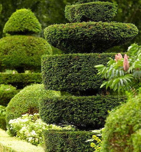 4 Signs That You Need To Hire A Tree Service Contractor