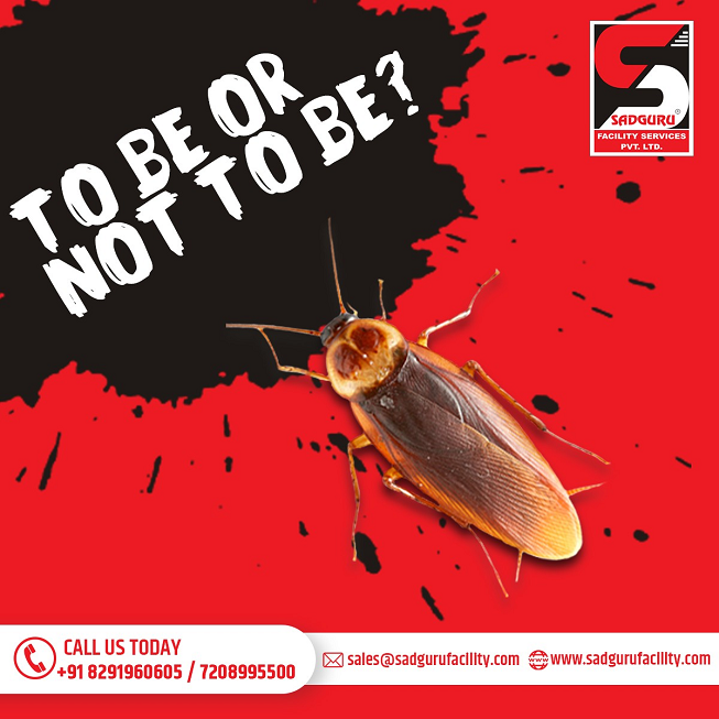 Pest Control Services in Borivali - Sadguru Pest Control