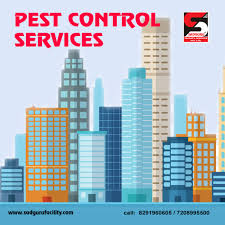 Pest Control Services in Mumbai | Pest Control in Mumbai