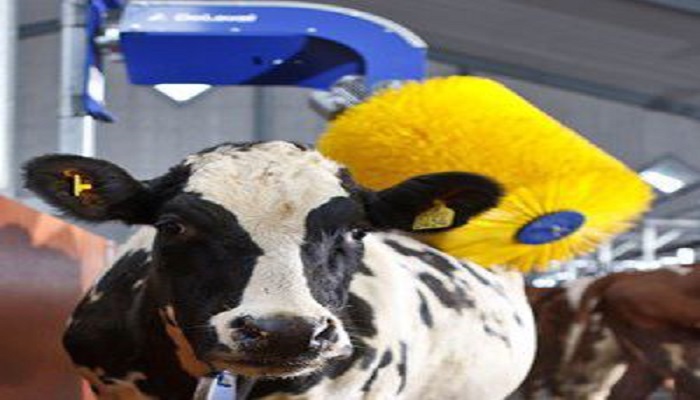 Cow Comfort Brush Market Drivers, Restraints, Size in terms of Volume and Value and Forecast 2022-2028
