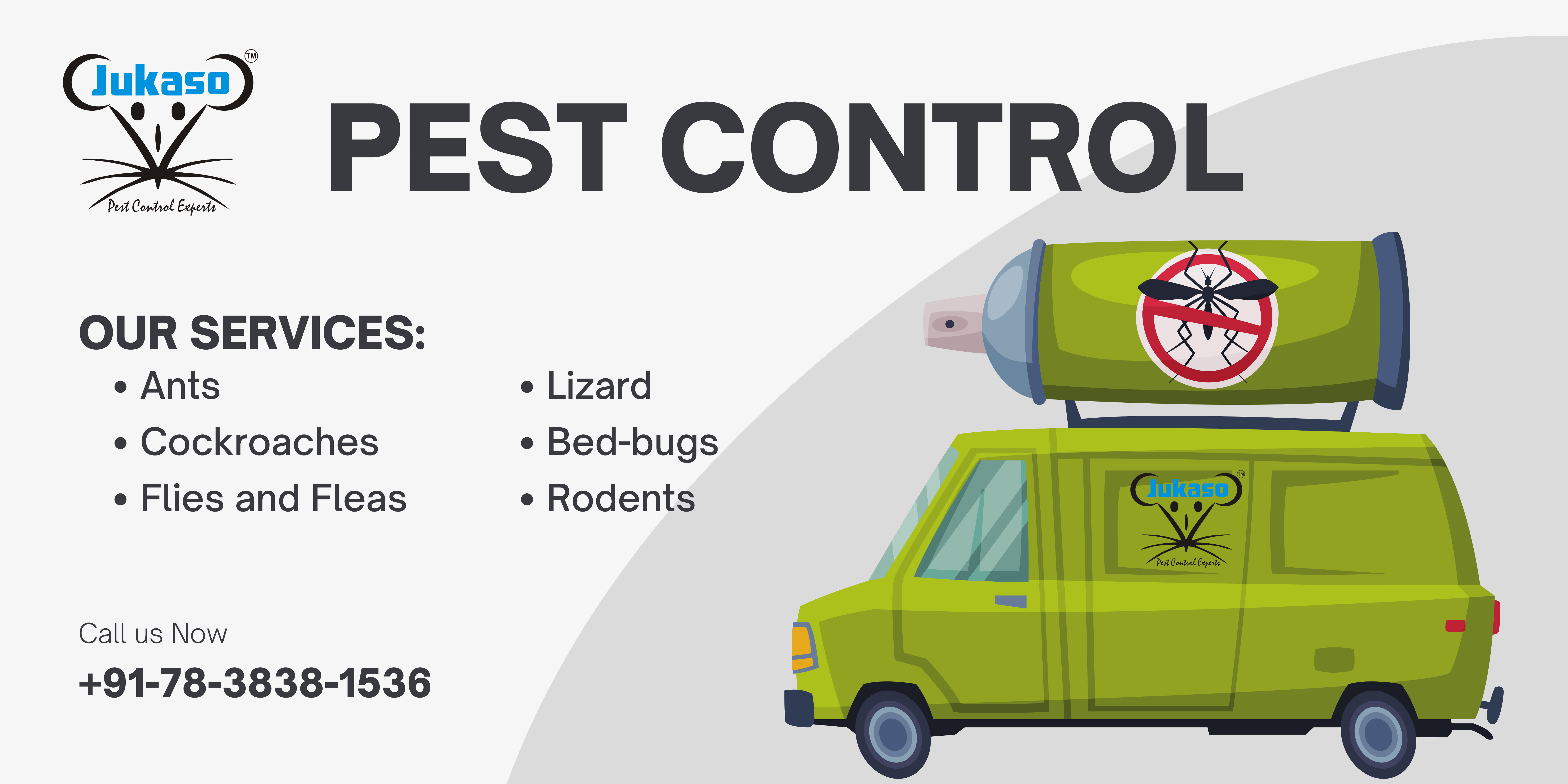 Best pest control company in india.