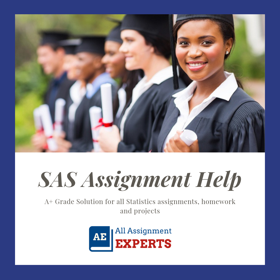 SAS Assignment Help