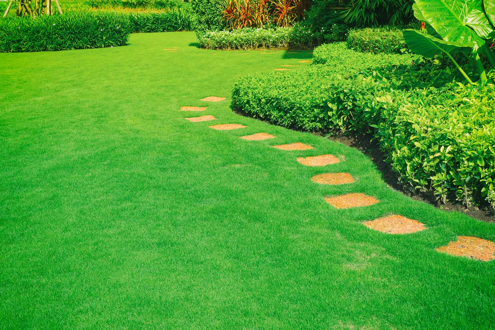 Semms Property Services: Delivering the Finest Property Maintenance Services