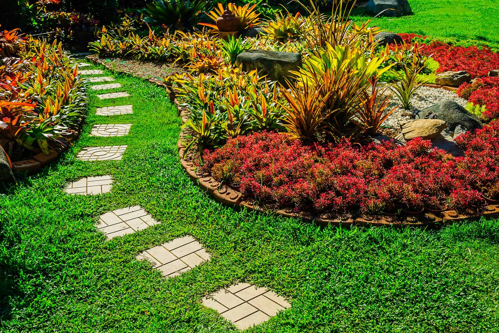 How Semms Property Services Help You Get a Perfect Lawn?