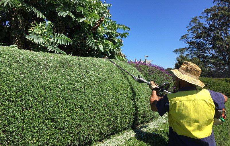 Check Out Garden Beautifying Services by Semms Property Services