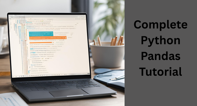 How to Use Pandas in Python: A Beginner-Friendly Tutorial