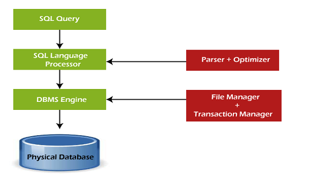SQL Tutorial for Beginners: Mastering the Language of Databases
