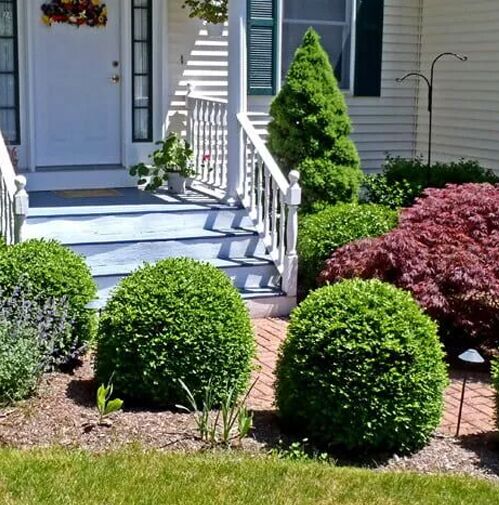 Expert Landscape Gardening Company For Outdoor Space Transformations