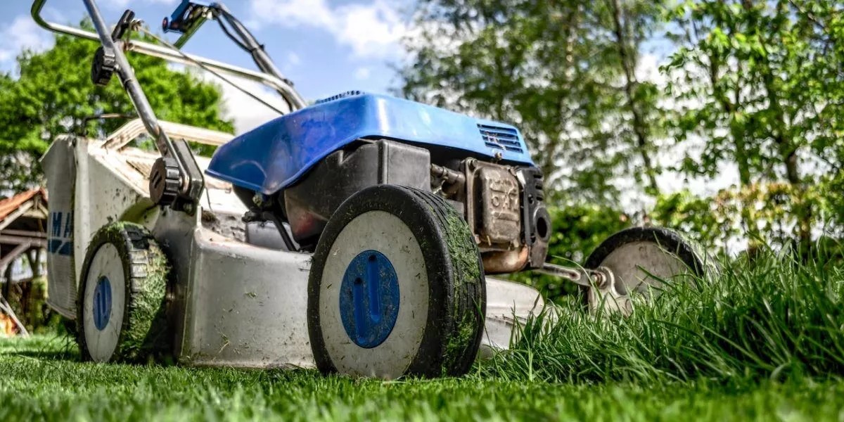 What Happens When You Don’t Hire A Local Garden Maintenance Services?