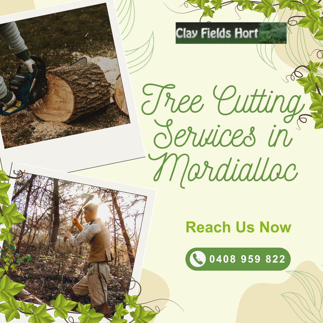 Transform Your Garden with Expert Tree Trimming in Hampton and Beyond