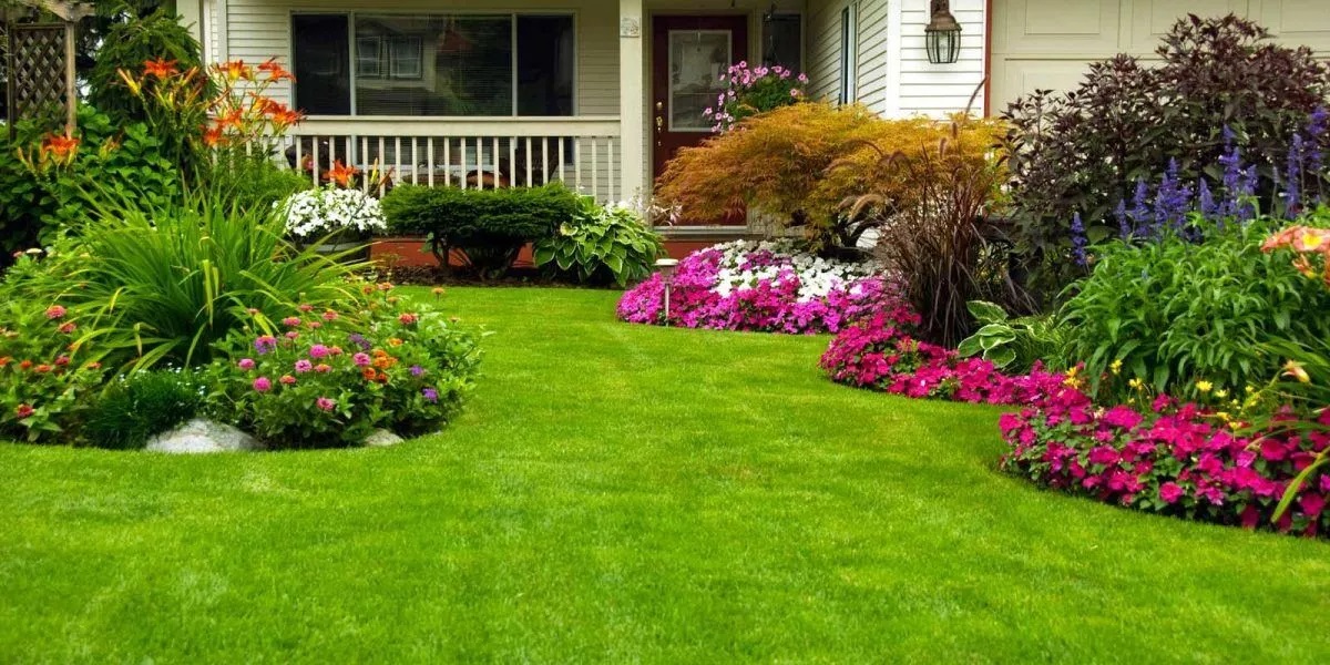 Why Choose Clay Fields Hort for Your Landscape Maintenance?