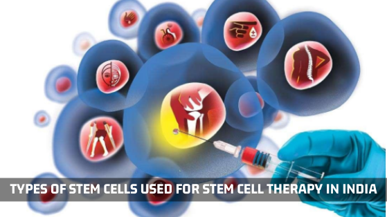 Types Of Stem Cells Used For Stem Cell Therapy In India