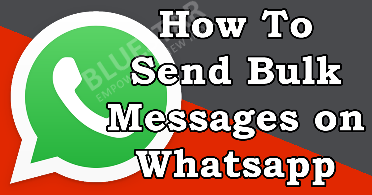 Send Bulk Whatsapp Message