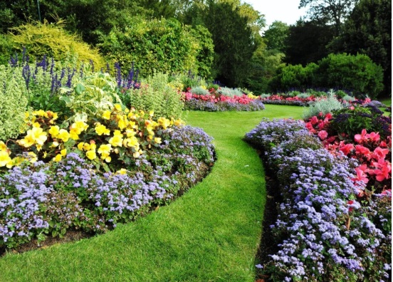 Why Landscape Designers in Minnesota are the Best?