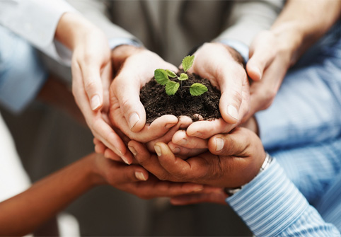 Well-Known Landscape Companies in Houston