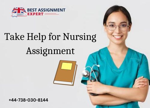 Nursing assignment help in the Best Assignment Expert