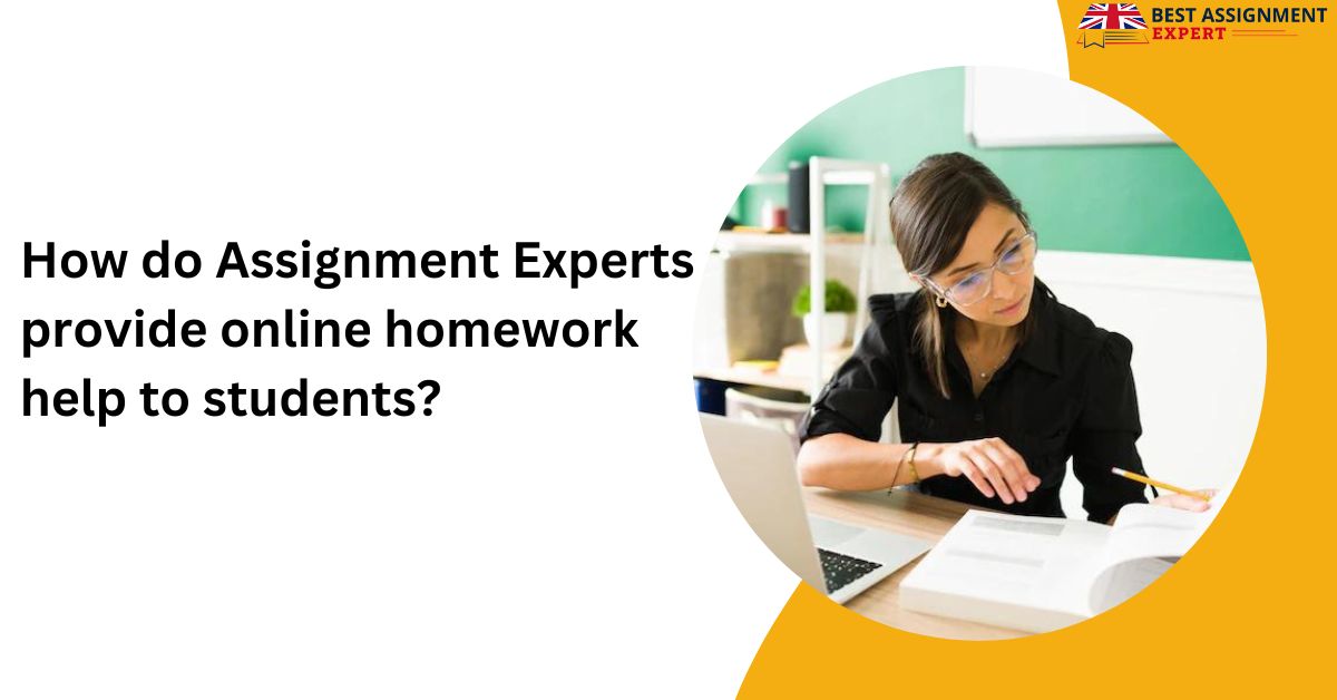 How do Assignment Experts provide online homework help to students?