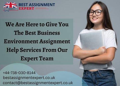 The Best Business Environment Assignment Help Service