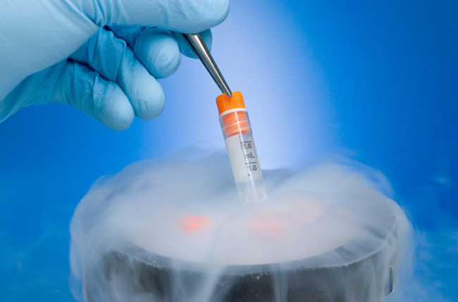 Best Egg Donor in Gurgaon