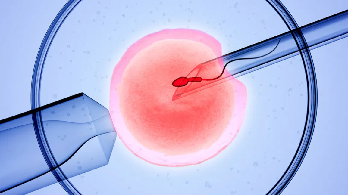 Best IVF Centre in Gurgaon