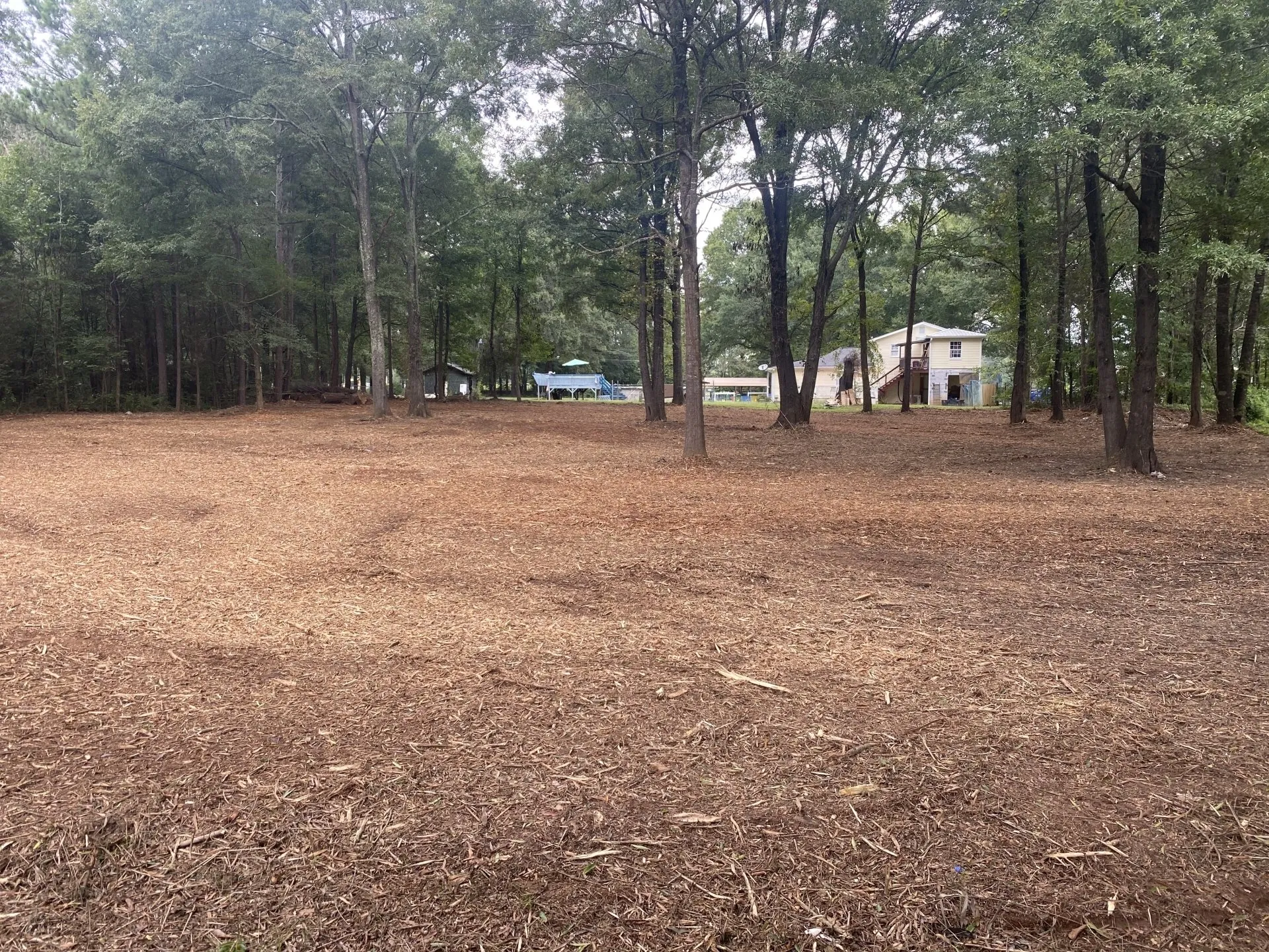 What You Should Know About Land Clearing