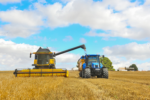 Combines Market Research, Analysis, Growth, Trends, Developments And Forecast 2032
