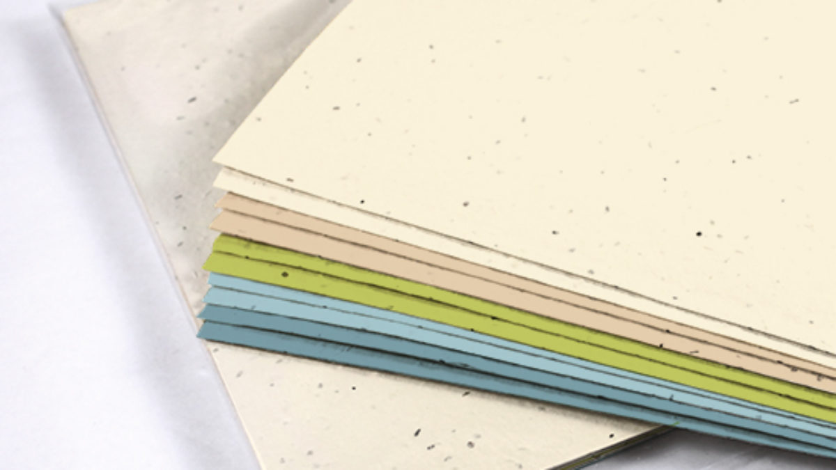 Unfinished Paper Market Research In-Depth Study, Analysis, Growth, Trends, Developments And Forecast 2031