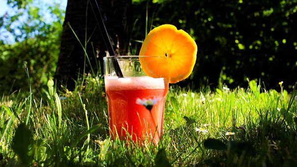 Organic Soft Drinks Market : By Industry Trends, Leading Players, Size, Share, Growth, Opportunity And Forecast 2023-2032